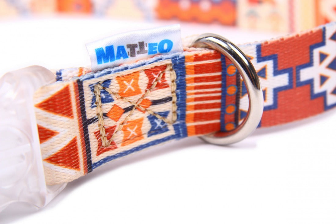 Dog Collar With a Plastic LED Buckle - Boho